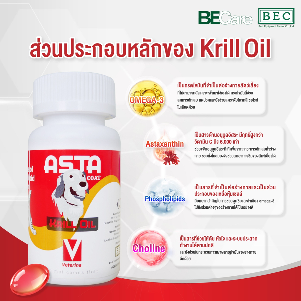 Asta Coat [แท้💯] อาหารเสริมบำรุงร่างกาย ช่วยลดการอักเสบ บำรุงข้อ/ขน/หัวใจ/สายตา/สมอง จาก Krill Oil คุณภาพสูง (AstaCoat) - รูปที่ 2