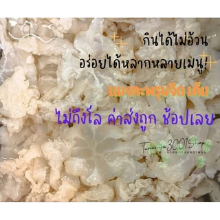 แมงกะพรุนจืด เค็ม ขาล้วน ขนาด700กรัม