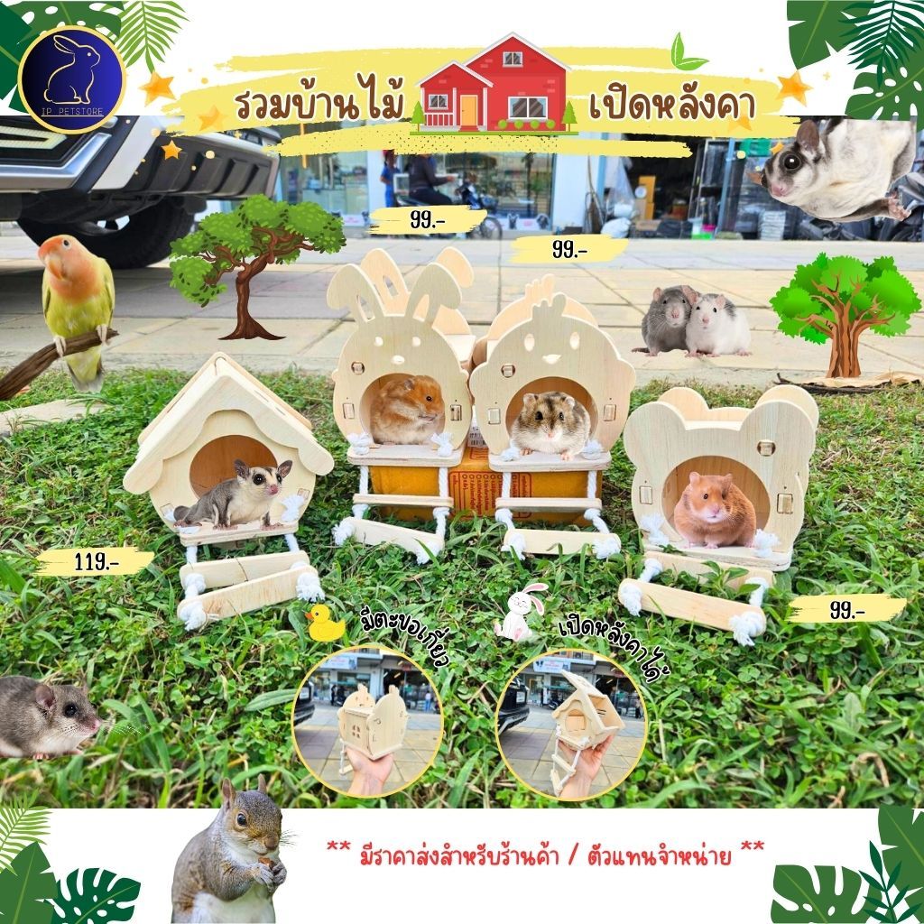 บ้านนก หนูแฮมสเตอร์ ชูก้าร์ไกลเดอร์ กระรอก มีบันได 4 แบบ บ้านสัตว์เลี้ยงขนาดเล็ก (IP)