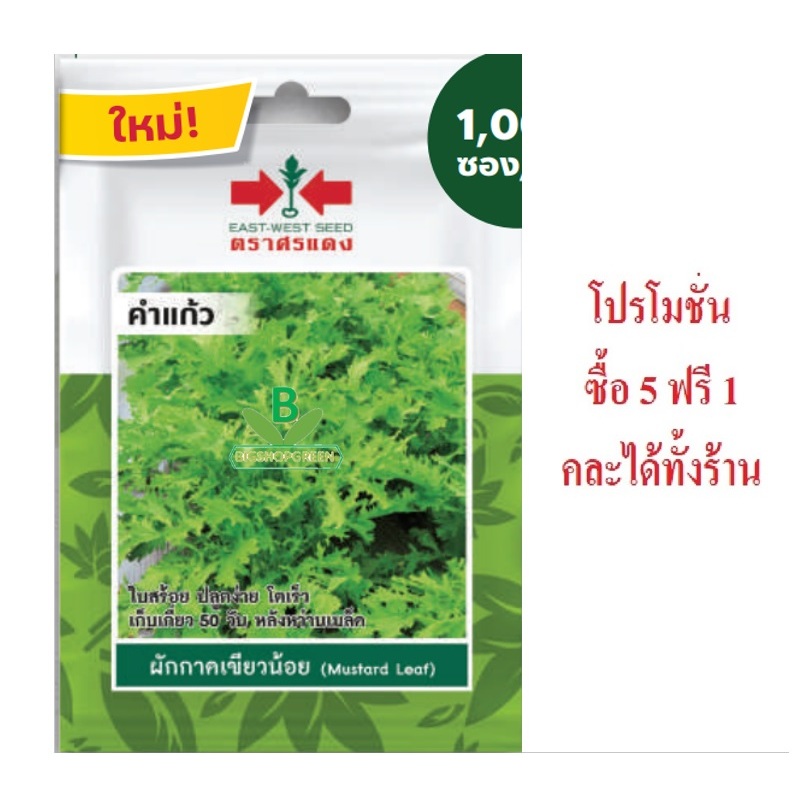 5 ฟรี 1 คละได้ คละได้ทั้งร้าน เมล็ดพันธุ์ ผักกาดเขียวน้อย คำแกว ศรแดง อัตราการงอกสูง โตไว