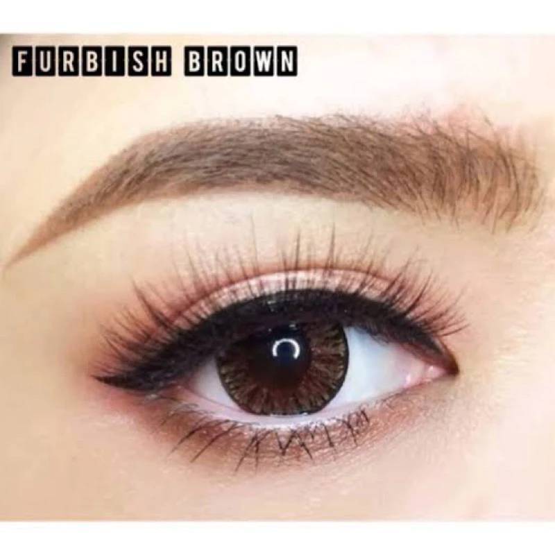 มีค่าสายตา Wink Furbish Gray Brown บิ๊กอาย สุดปัง คอนแทคเลนส์ รายเดือน มีอย แถมตลับฟรี เลนส์นิ่ม สวยปังมาก