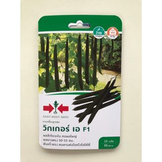 บวบเหลี่ยม วิกเกอร์ เอ 25เมล็ด ศรแดง