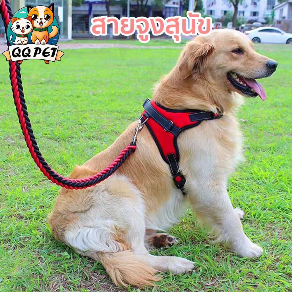 QQPET สายจูงสุนัข เสื้อรัดอกสุนัข เสื้อรัดอกสัตว์เลี้ยง สายจูงสุนัข พันธุ์กลาง-ใหญ่  หลายสี หลายไซส์