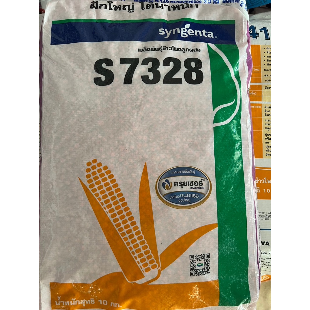 เมล็ดพันธู์ข้าวโพด NK 7328 เมล็ดเล็ก 3 หุน