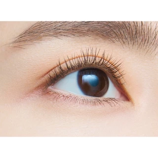 Dejavu Lash Up Mascara E1 Black : ลาชอัพ (มาสคาร่าสูตรกาวช่วยจับขนตาที่สั้นและบางได้ดี)