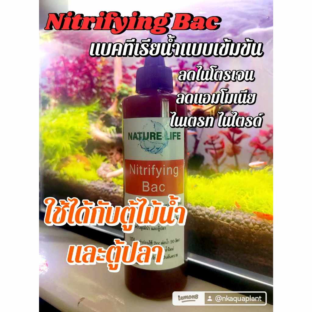 แบคทีเรียน้ำเข้มข้น คุณภาพสูง Nitrifying bac Nature life สำหรับตู้ไม้น้ำและตู้ปลา