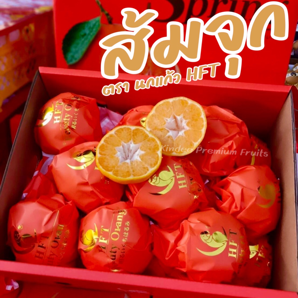 ส้มจุก ตรานกแก้ว HFT ส้มจุกที่อร่อยและขายดีที่สุด พร้อมส่ง ‼️