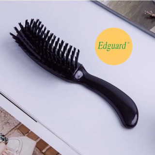 แปรงเซ็ทผม แปรงเกล้าผม แต่งทรงผมเพิ่มวอลลุ่ม Edguard ผมสวยเป…