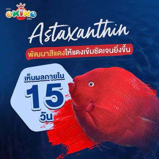 อาหารปลา ควิกเรด Quick Red ปริมาณ 500กรัม สำหรับปลาหมอสี ปลานกแก้ว และปลาที่ต้องการเร่งสีสันสวยงาม