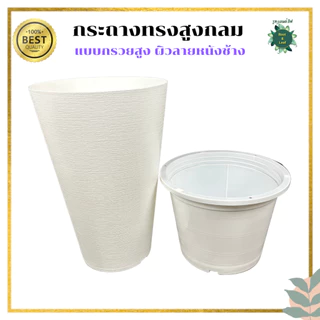 กระถางทรงสูงกลม ลายหนังช้าง แบบกรวย กระถางมินิมอล แต่งบ้าน แต่งคอนโด แต่งคาเฟ่ มีกระถางด้นใน น้ำไม่ไหลรั่วซึม พร้อมส่ง