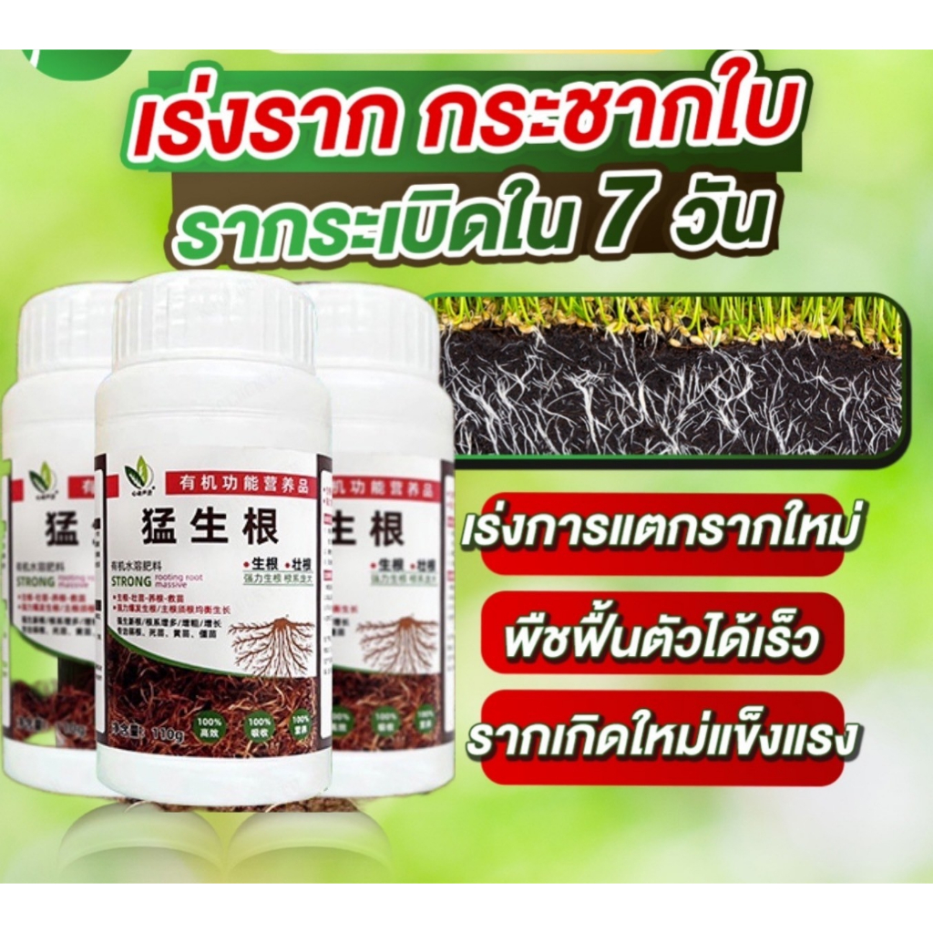 น้ำยาเร่งราก ปุ๋ยเร่งราก ผงเร่งราก สูตรเข้มข้น เร่งรากอย่างรวดเร็ว กระตุ้นการเจริญโตของราก เร่งราก5เท่า