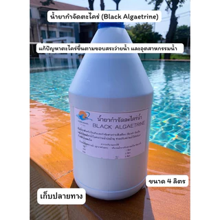 น้ำยากำจัดตะไคร่น้ำ สูตรเข้มข้น ปรับสภาพน้ำใสสีฟ้าสวย 1 4 ลิตร ช่วยกำจัดสาหร่ายสีเหลืองเขียว POOL BLACK ALGAETRINE