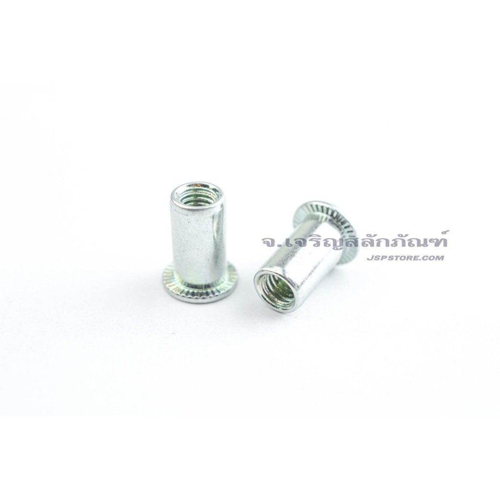 รีเวทนัท เหล็กชุบขาว M5 - M12 (แพ็ค 10 ตัว ) Rivet Nut รุ่นคอลาย