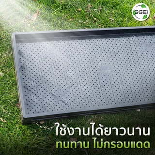 ถาดเพาะกล้า เพาะข้าว นาดำ รุ่น GTMG ไม่กรอบแดด ผลิตจากพลาสติก PP คุณภาพดี ของแท้จาก SGE