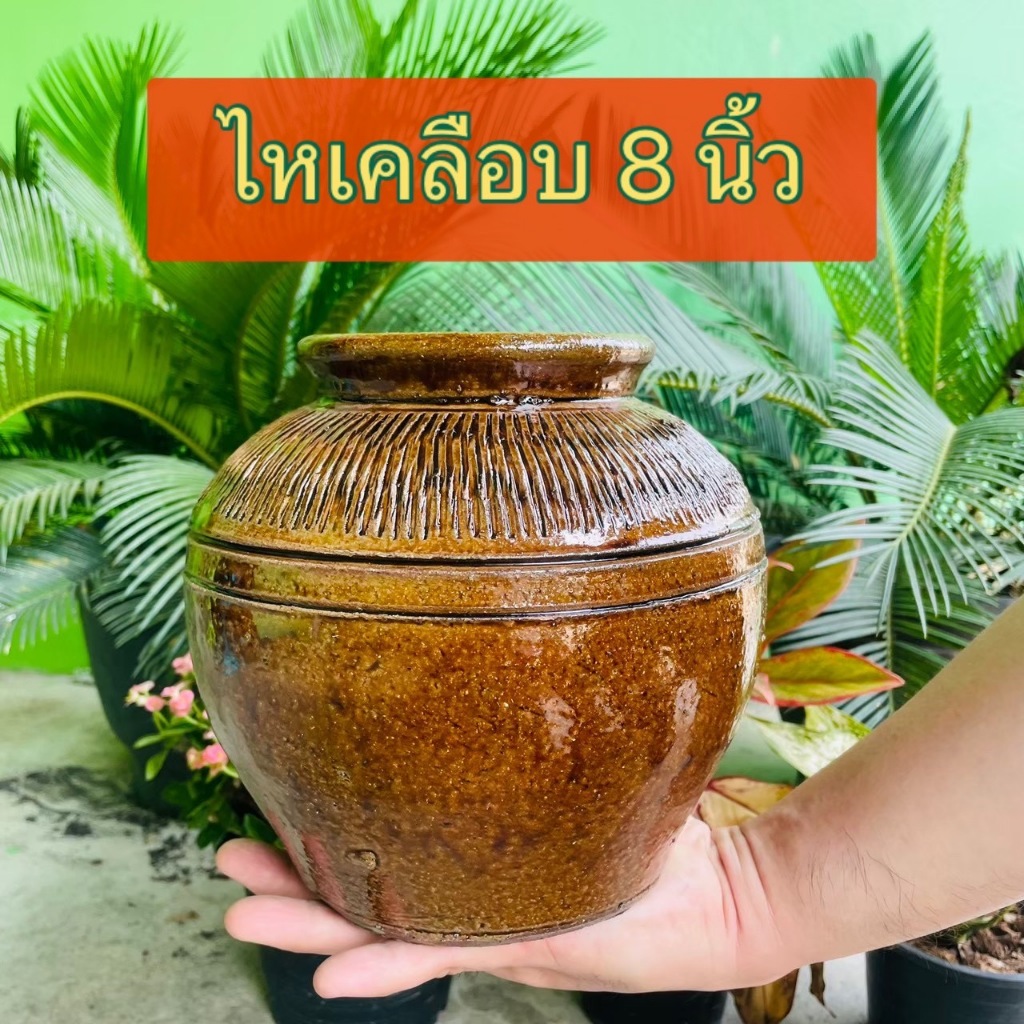 โอ่งหรือไห 8 นิ้ว ไหหมักปลาร้า ไหหมักกิมจิ ไหหมักผลไม้ ไหหมักเหล้า สินค้ามีคุณภาพผลิตจากโรงงานราชบุรี
