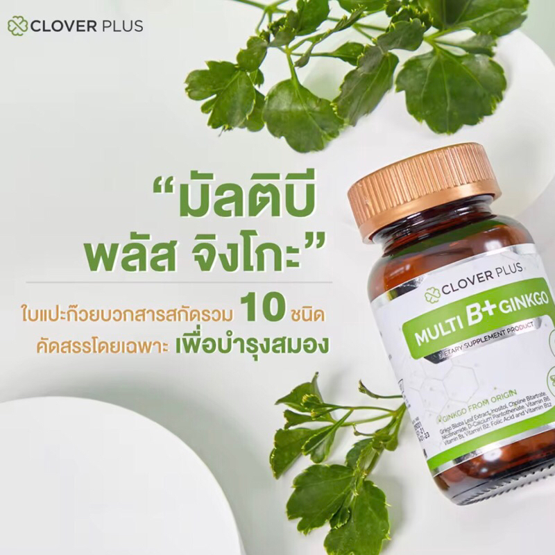 Clover Plus Multi B+ Ginkgo มัลติบี พลัส จิงโกะ สารสกัด ใบแป๊ะก๊วย บำรุงสมอง ความจำ ระบบปลายประสาท