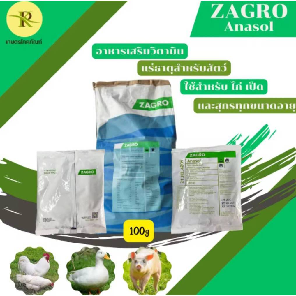 ZAGRO Anasol ซาโกร อาหารเสริมวิตามิน แร่ธาตุสำหรับสัตว์ ใช้สำหรับ ไก่ เป็ด และสุกร ปริมาณ 100g