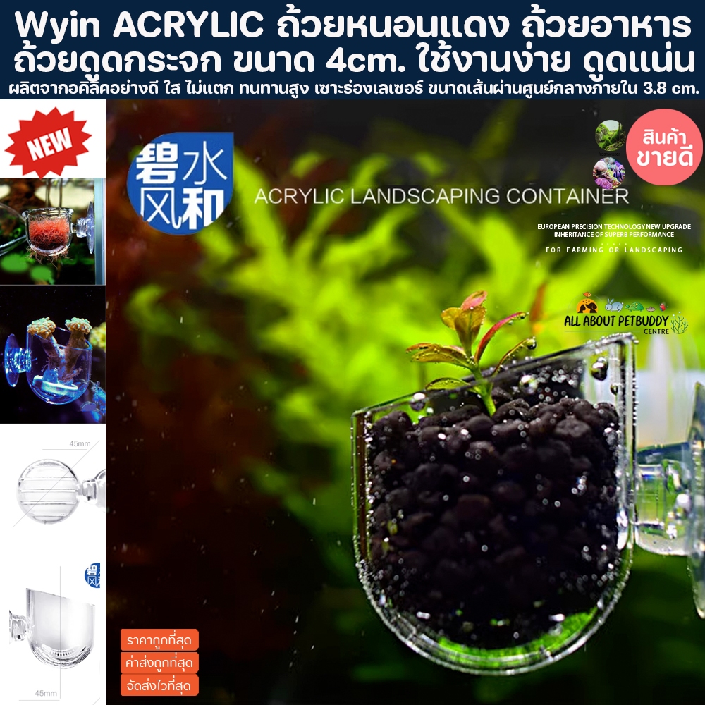 Wyin ACRYLIC ถ้วย หนอนแดง อคิลิค 40mm ปลูกไม้น้ำ ถ้วยให้อาหารปลา ใช้งานได้อเนกประสงค์ ตู้ปลา ปลาสวยงาม ไม้น้ำ ปะการัง