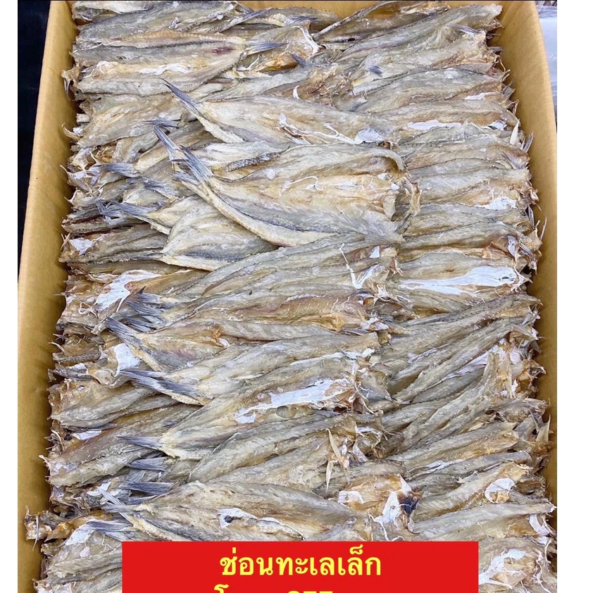 ปลาช่อนทะเลเล็กเนื้อบางไม่เค้มอร่อยขนาด500กรัม