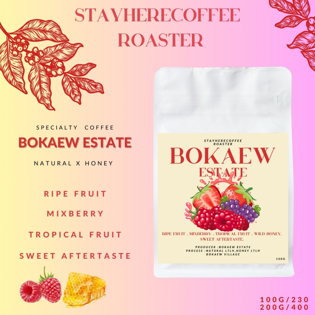 เมล็ดกาแฟคั่วอ่อน Borkaew Estate (Omni)