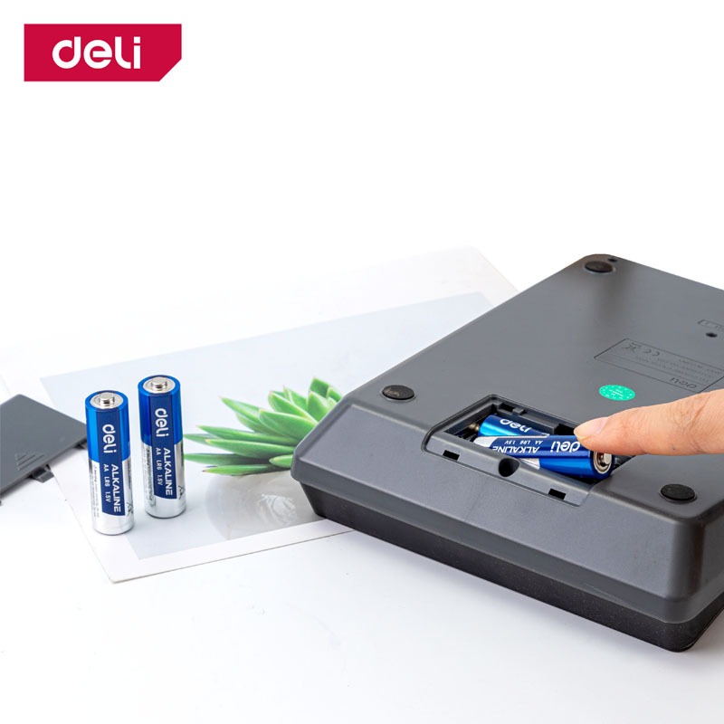 รูปภาพ 2