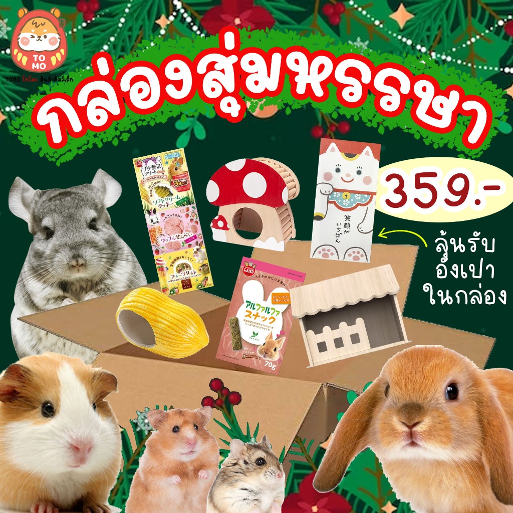 ร้านโทโมะ กล่องสุ่มหรรษา กล่องสุ่ม แฮมสเตอร์ กระต่าย แกสบี้ ชินชิลล่า เม่นแคระ ชูการ์