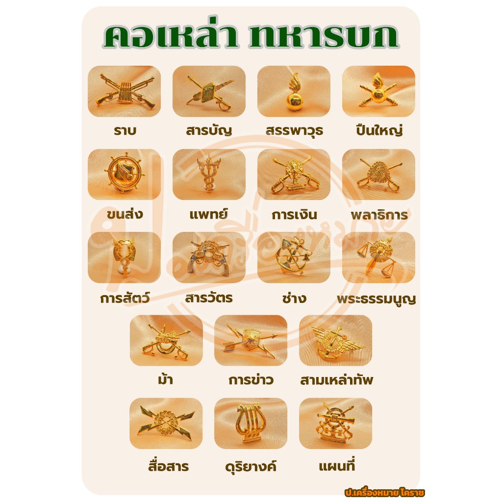 เครื่องหมาย คอเหล่า ทหารบก งานชุบทองอย่างดี (อัศวอาสน์) ขาหมุด