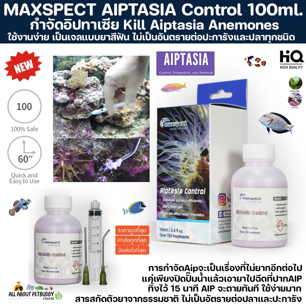 Maxspect Aiptasia Control 100ml. น้ำยาฆ่าอิ๊ป ฉีดง่ายใช้ง่าย ไม่เป็นอันตรายต่อสิ่งมีชีวิตทุกชนิด ฉีด