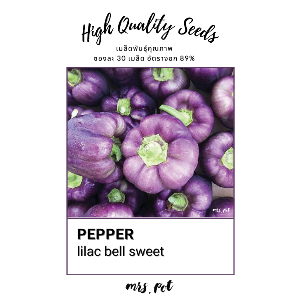 เมล็ดพันธุ์พริกหวาน lilac bell sweet pepper