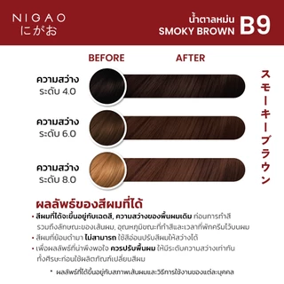 [ฟรี Developer] NIGAO Hair Color Fashion B9 Smoky Brown | นิกาโอะ ครีมเปลี่ยนสีผม สีย้อมผม สีน้ำตาลหม่น 100 mL