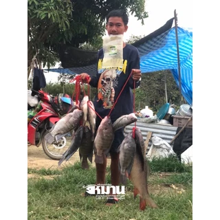 เหยื่อตกปลา เหยื่อหมาน สูตรยี่สก ปลาจีน ชุด 5 ถุง 2.2 กก. ปลาเข้าไว ปั้นง่าย