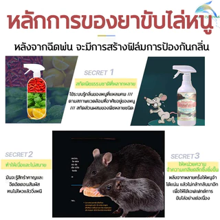 สเปรย์ไล่หนู 750ml มีผลคุ้มครองนาน 365 วัน มีฟังก์ชั่นทั้งการขับไล่และการป้องกัน จิ้งจก ตุ๊กแก ปราศจาก สารเคมีอันตราย
