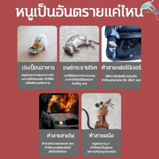 สเปรย์ไล่หนู 750ml มีผลคุ้มครองนาน 365 วัน มีฟังก์ชั่นทั้งการขับไล่และการป้องกัน จิ้งจก ตุ๊กแก ปราศจาก สารเคมีอันตราย