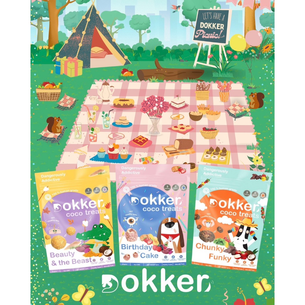 DOKKER Coco Treats คุ้กกี้สำหรับน้องหมาและน้องแมว ไขมันตํ่า