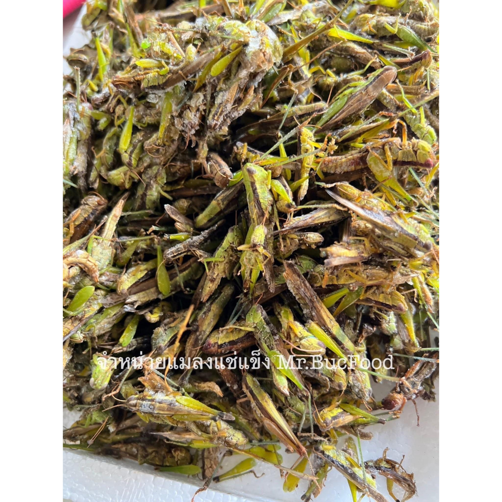ตั๊กแตนนา (ตัวเล็ก) 1 KG. !!!!!!!!