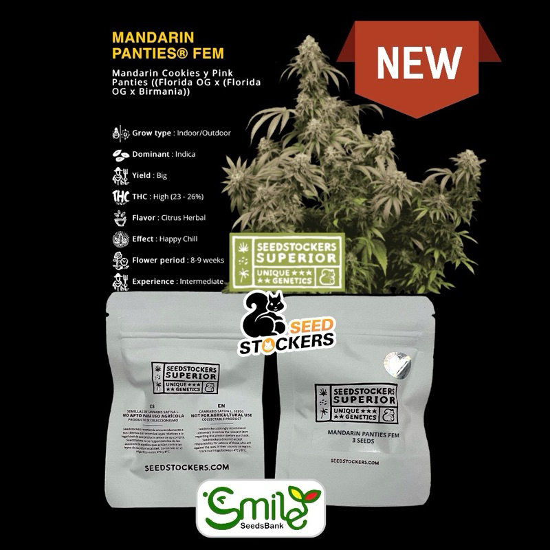 เมล็ดกัญชา Mandarin Panties (Fem) - Seed Stockers Superior