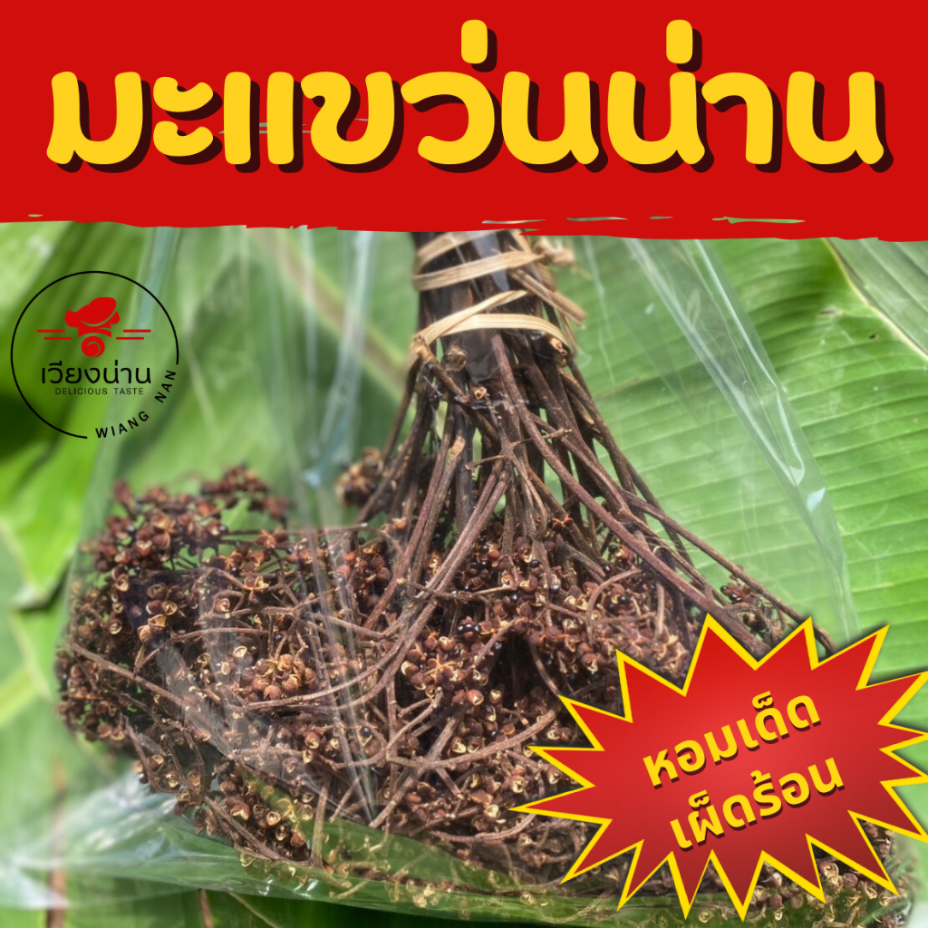 (ใหม่)มะแขว่น มะแข่น เมืองน่าน (เด็ดก้าน) หอมเด็ด เผ็ดร้อน