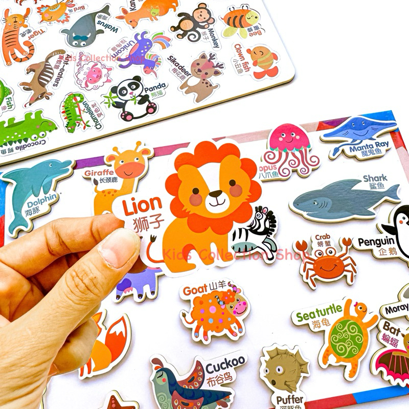 แม่เหล็กติดตู้เย็นรูปสัตว์ สอนศัพท์ภาษาอังกฤษ เซต 25-26 ชิ้น ชิ้นใหญ่จับถนัดมือ ทนทานไม่พังง่าย สีสันสดใสช่วยในการจดจำ