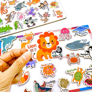 แม่เหล็กติดตู้เย็นรูปสัตว์ สอนศัพท์ภาษาอังกฤษ เซต 25-26 ชิ้น ชิ้นใหญ่จับถนัดมือ ทนทานไม่พังง่าย สีสันสดใสช่วยในการจดจำ