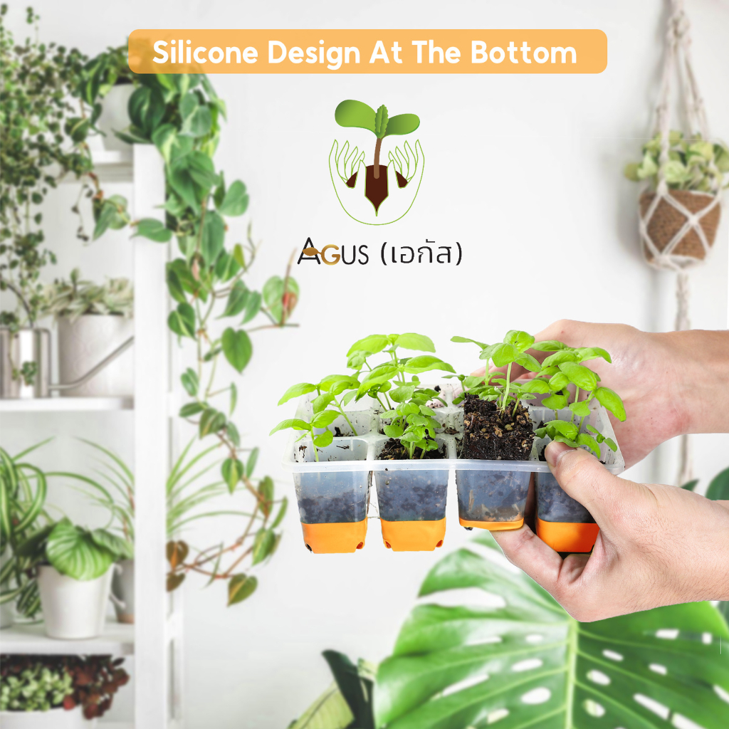 ถาดเพาะ ซิลิโคน Silicone กระถางเพาะชำ ใส เพาะต้นกล้า ถาดเพาะชำ ปักชำ ชำกิ่ง เพาะกล้า เมล็ด ต้นไม้ seed tray cloning 420