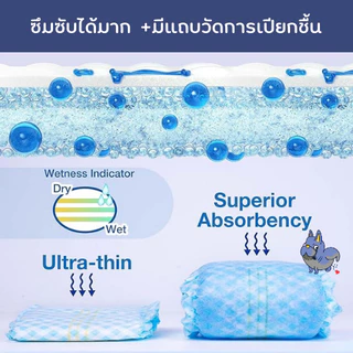 โอบิทอมแพด ผ้าอ้อมสุนัขตัวผู้ มึแถบวัดฉี่ และตีนตุ๊กแกปรับรัดเอวง่าย ผ้าอ้อมสุนัขแผ่นหนาให้สัมผัสนุ่ม ซึมซับดี