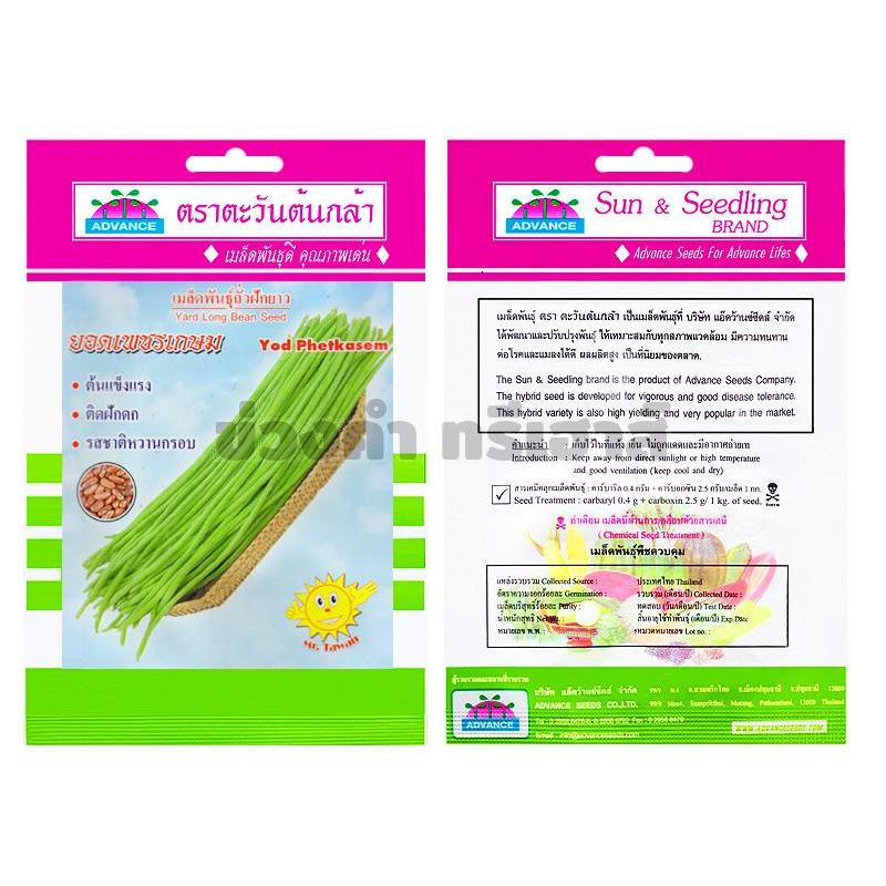 เมล็ดถั่วฝักยาว ยอดเพชรเกษม รหัส KTA5799