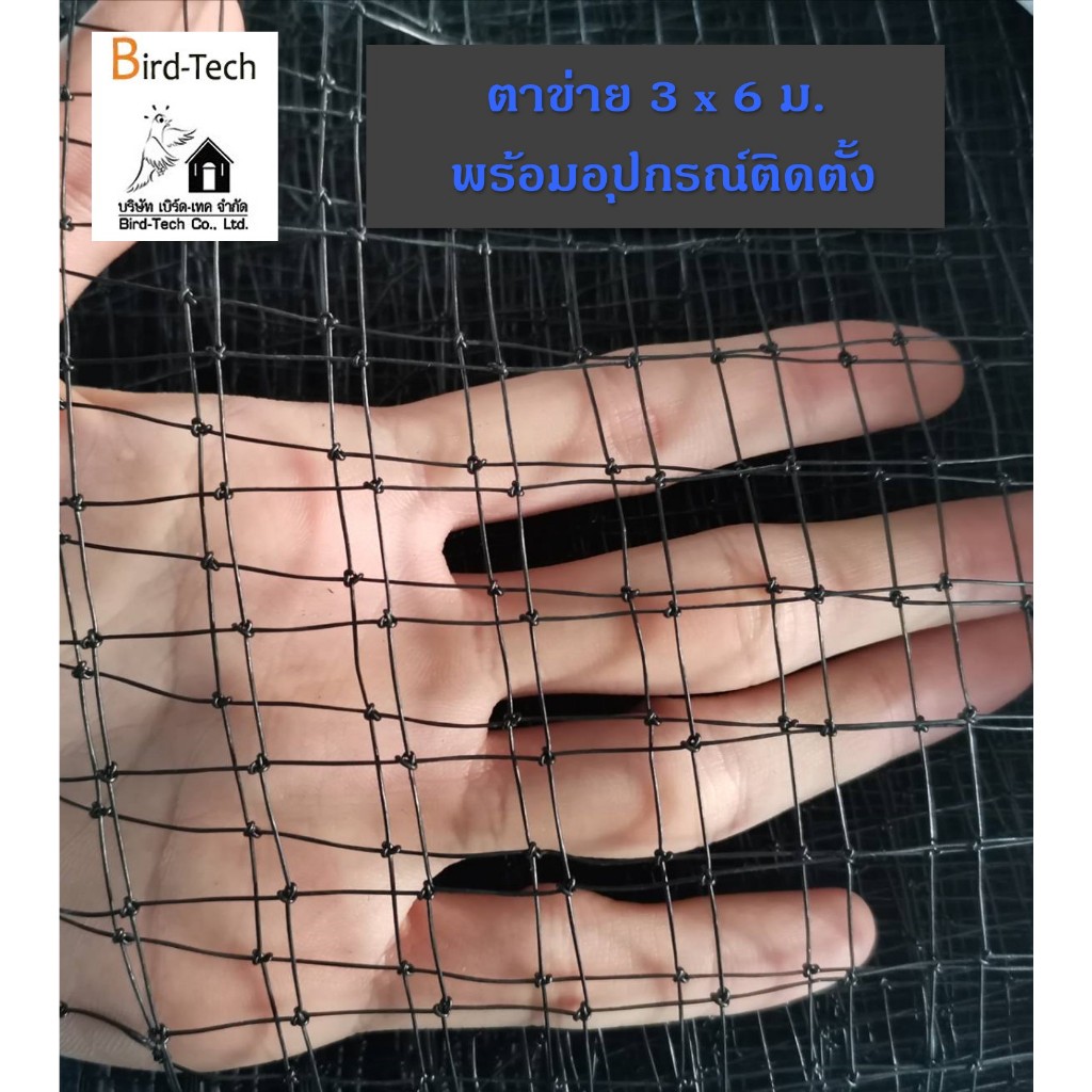 Bird net ชุดตาข่ายกันนกสีดำ HDPE โปร่งแสง 3x6 ม. พร้อมอุปกรณ์​สำหรับติดตั้ง