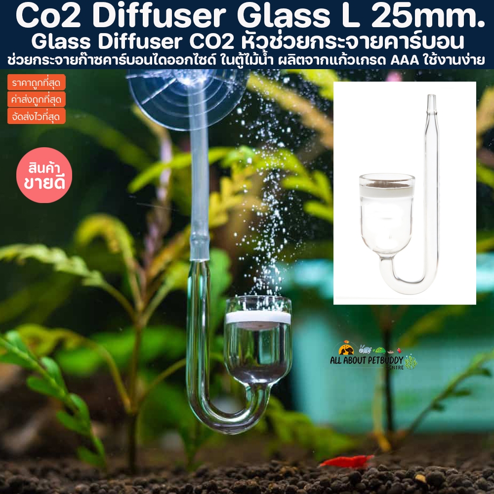 Glass Diffuser CO2 หัวช่วยกระจายคาร์บอนไดออกไซด์ ขนาด 2.5 ซม. หัวดิฟ หัวดิป หัวกระจายคาร์บอน หัวคาร์บอน ตัวกระจายคาร์บอน