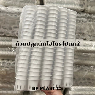 ถ้วยปลูกผัก 100ใบ ถ้วยขาวปลูกผัก ผไฮโดรโปนิกส์ ไฮโดร สลัด salad hydroponic hydro แบบใช้ซ้ำ หนา เหนียว