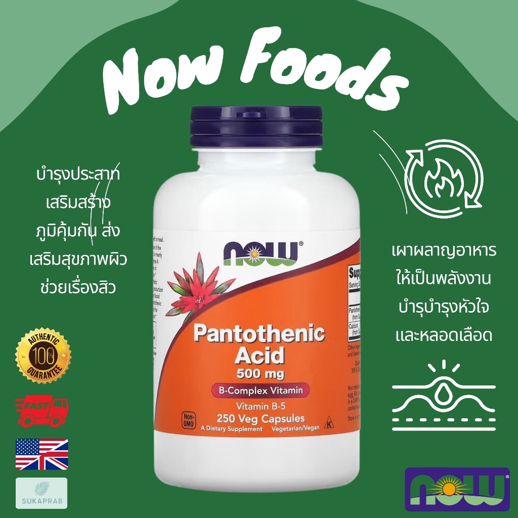 พร้อมส่ง NOW Foods Pantothenic Acid 500 mg 100 Veg Capsules Vitamin B-5 วิตามินบี 5