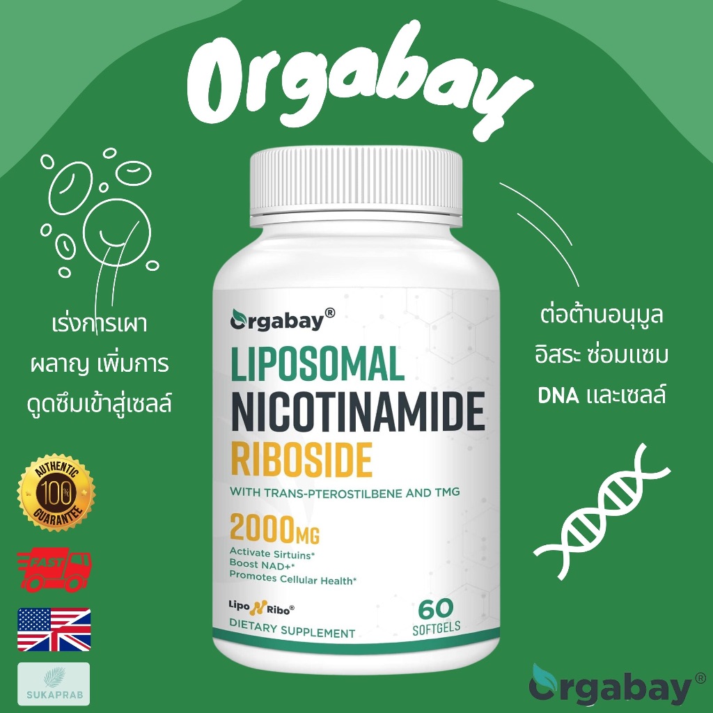 พร้อมส่ง Orgabay Liposomal Nicotinamide Riboside 2000 MG 60 capsules NR เพิ่ม NAD+ Anti-aging