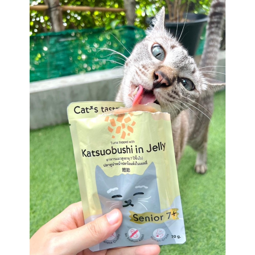 (12 ซอง) อาหารเปียกแมว Cat’s Taste Sea food 1 กล่อง  ( 12 ซอง )