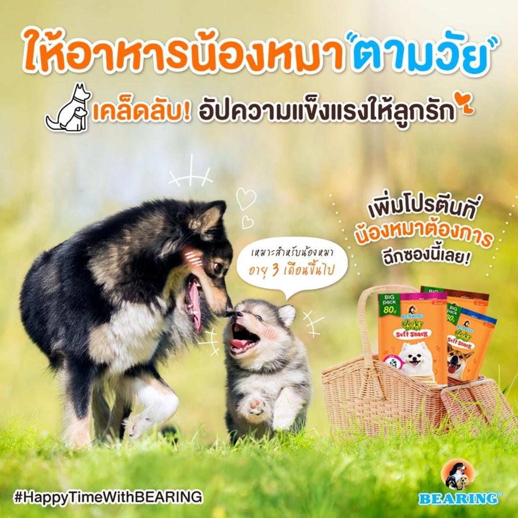 Bearing Jerky Dog Treat Stick แบริ่ง เจอร์กี้ ทรีท สติ๊ก ขนาด 300 G - รูปที่ 4