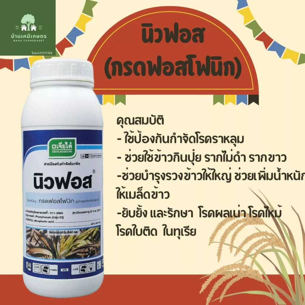 นิวฟอส กรดฟอสโฟนิก ขนาด1 ลิตร ยาเชื้อราป้องกันโรคผลเน่า